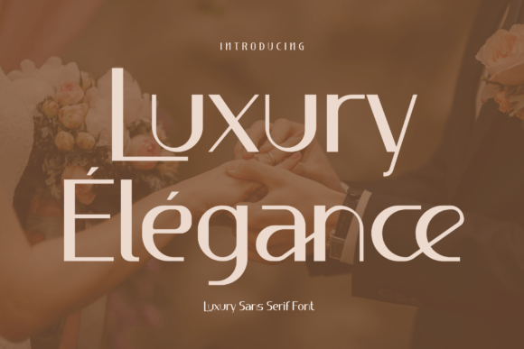 Luxury Élégance Font: A Web Designer’s Review